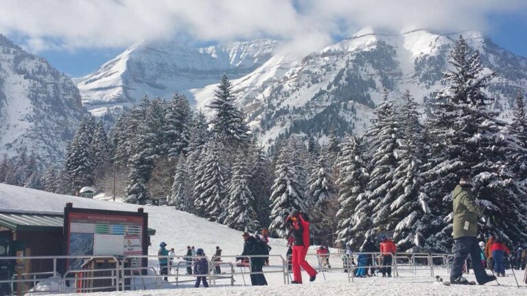 15-year-old travel company ends in bankruptcy, cancels all trips