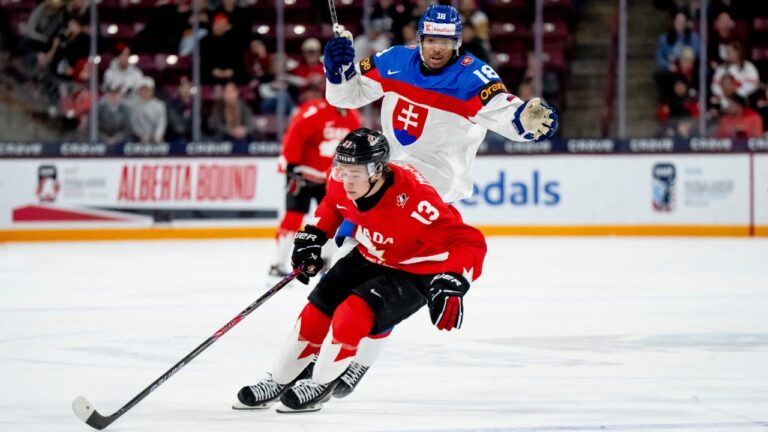 Maple Leafs take defencemen Alexander Bilecki, Ethan MacKenzie at draft