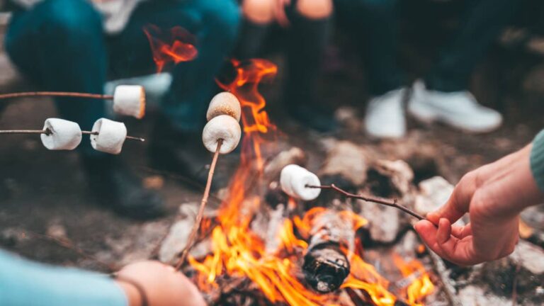 Popular summer camp files for Chapter 11 bankruptcy