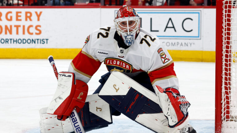 Starters, backups and upside targets: What the NHL goalie market looks like