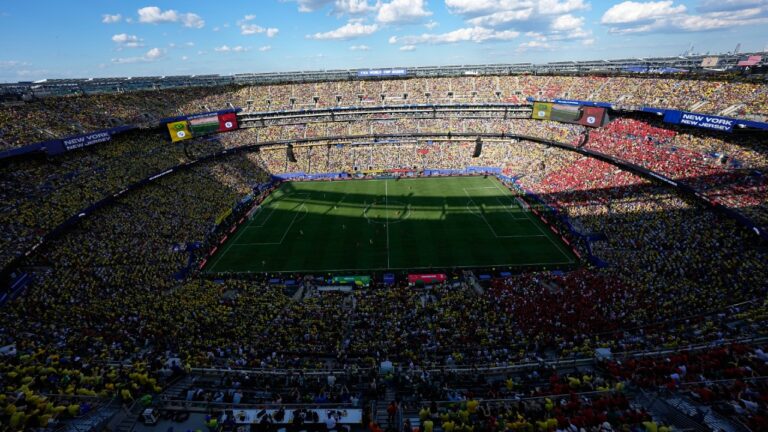 FIFA dividing up field after World Cup final to sell