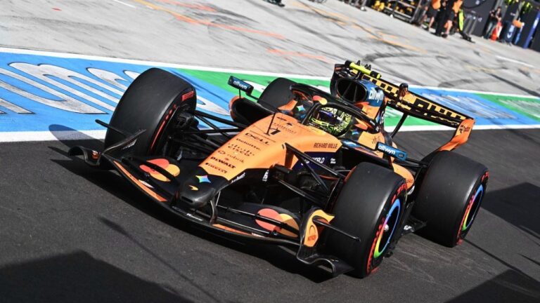 Norris snatches pole from Hamilton at Hungarian Grand Prix