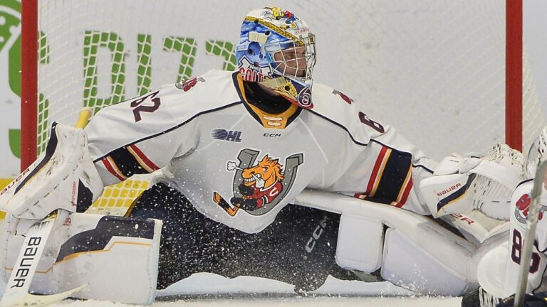OHL approves sale of Barrie Colts to Toronto-area businessman John Careri
