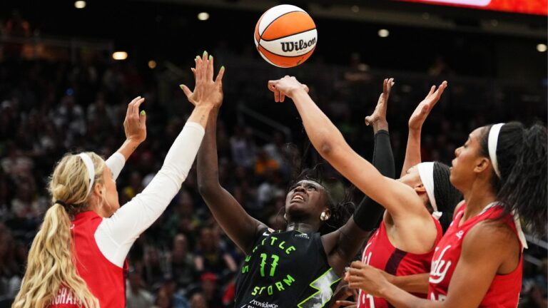 Seattle Storm co-owner Celeste Keaton suspended after interaction with fans