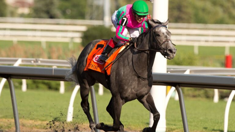 Trainer Josie Carroll optimistic Woodbine Oaks winner Luster will run in King’s Plate